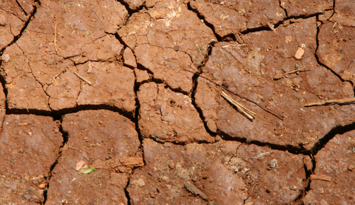 Klimafinanzierung: Zwei Drittel sind schöngerechnet