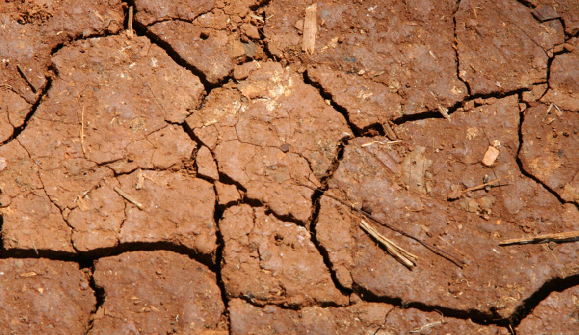 EU-Projekt RECARE entwickelt Bodenmanagement-Strategien