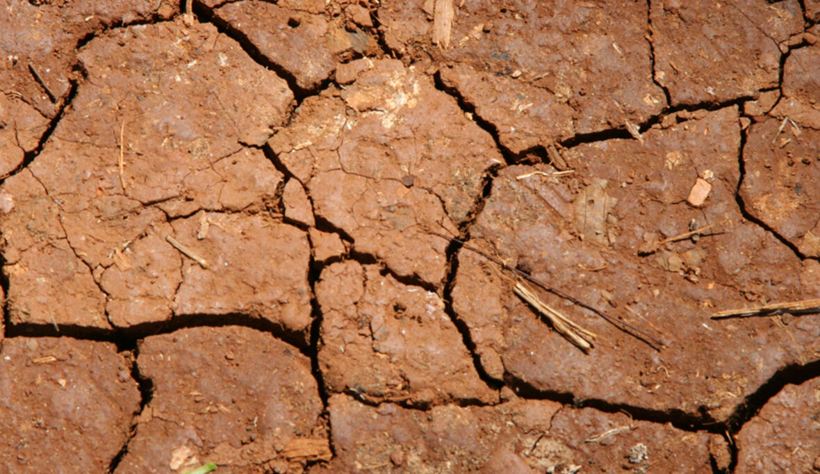 El Niño verstärkt Armut im Süden Afrikas