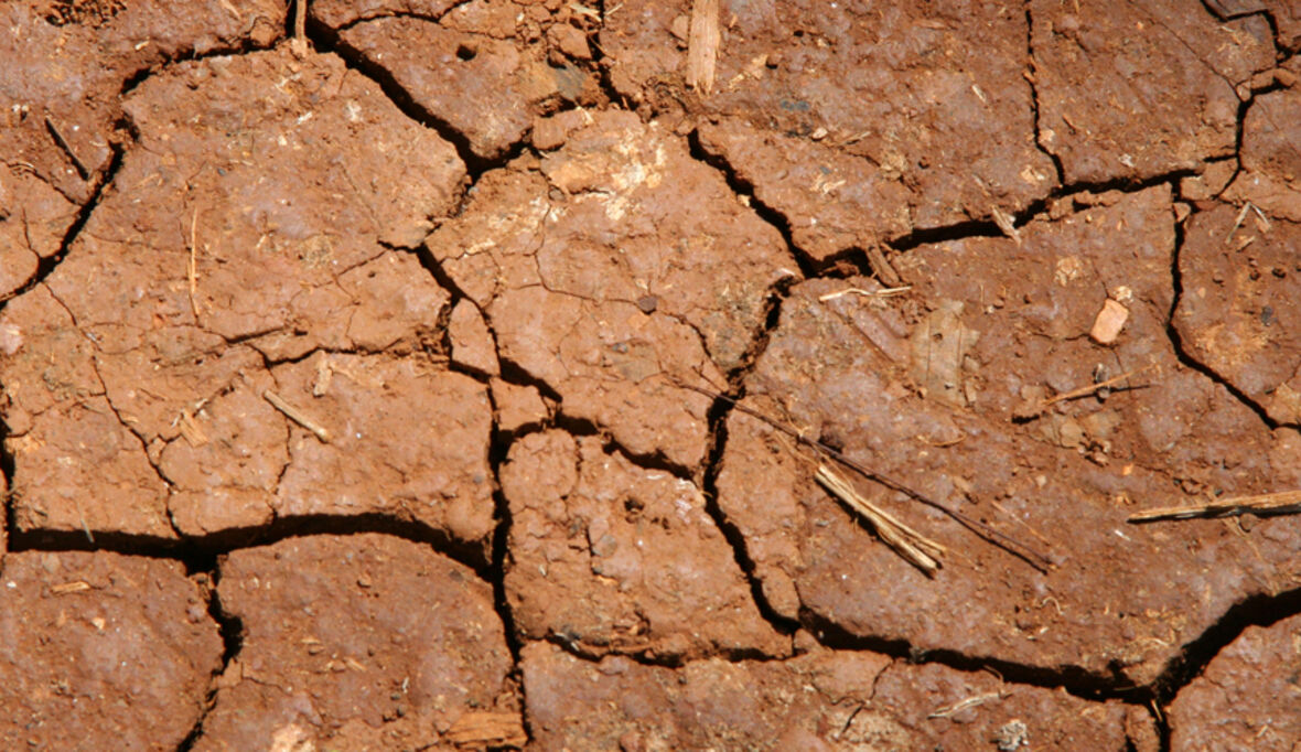 Mosambik: Dürre für Frauen ka­ta­s­t­ro­phal