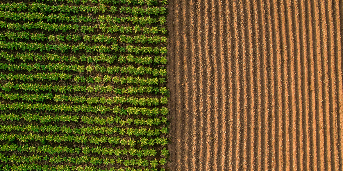 Wie Klimaberichtspflichten die Lebensmittelbranche zwingen, die Landwirtschaft neu zu denken