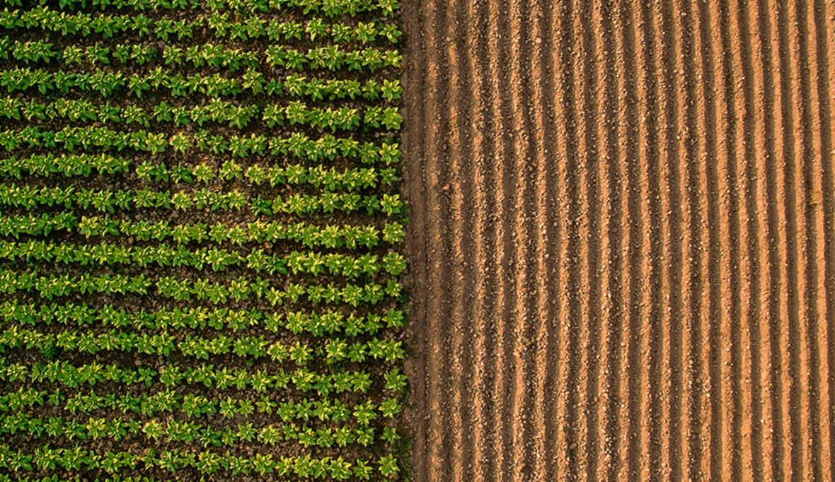 TerraSentia: Autonomer Roboter kontrolliert Felder