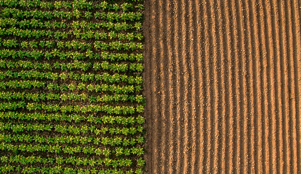 „Land Grabbing“ – Steigender Landhunger