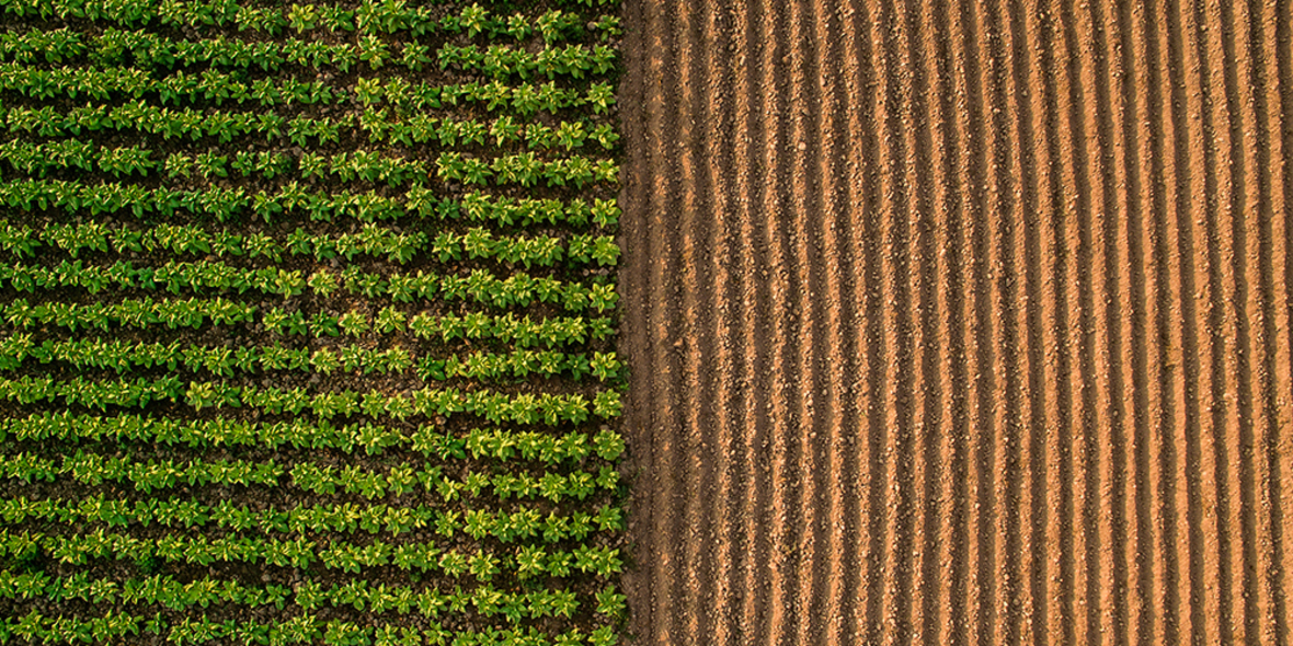 „Land Grabbing“ – Steigender Landhunger