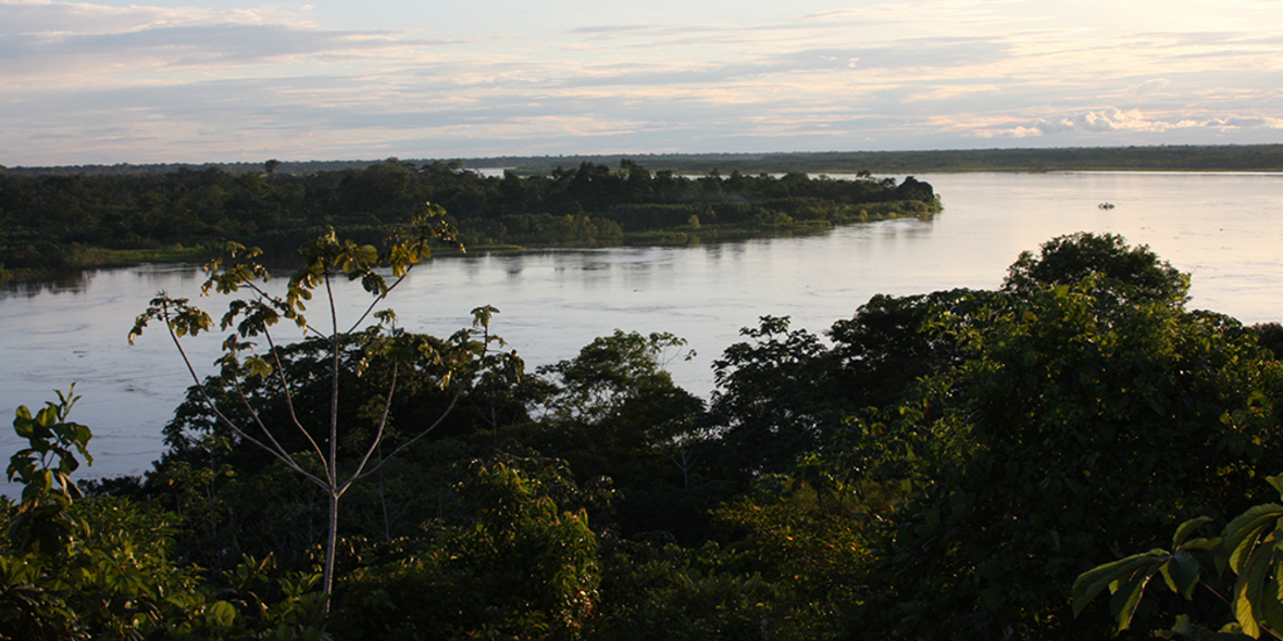 Amazonas: Wie Steuerpolitik das erfolgreichste Abholzungsschutzabkommen der Welt zerstört