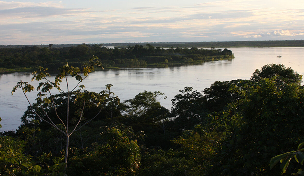 Amazonas: Wie Steuerpolitik das erfolgreichste Abholzungsschutzabkommen der Welt zerstört