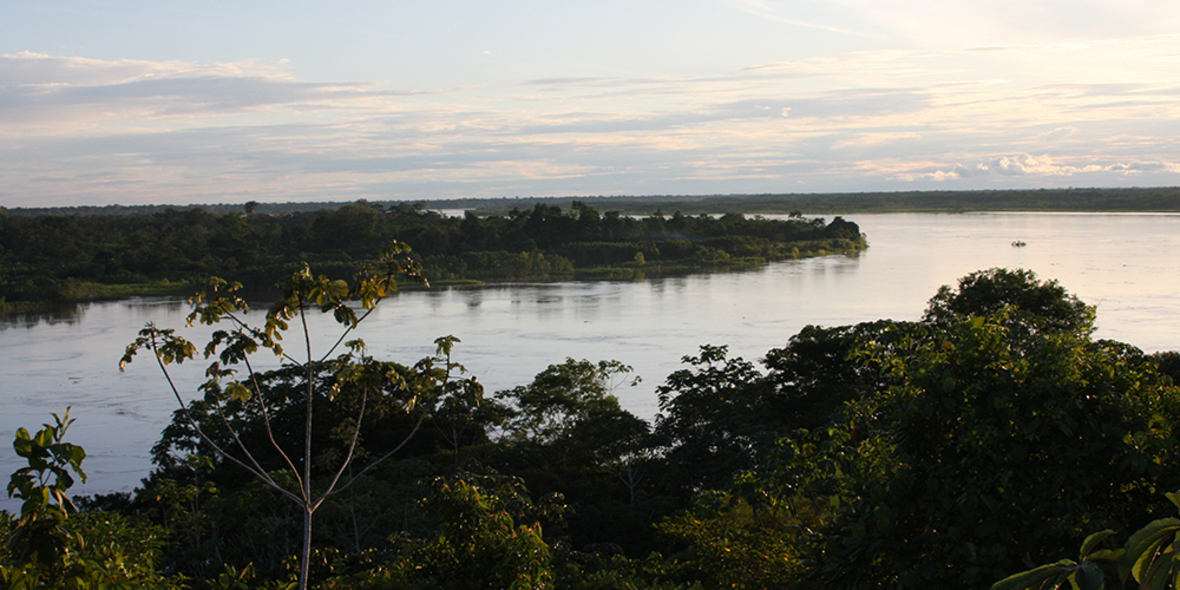 Fotograf setzt sich für den Regenwald ein