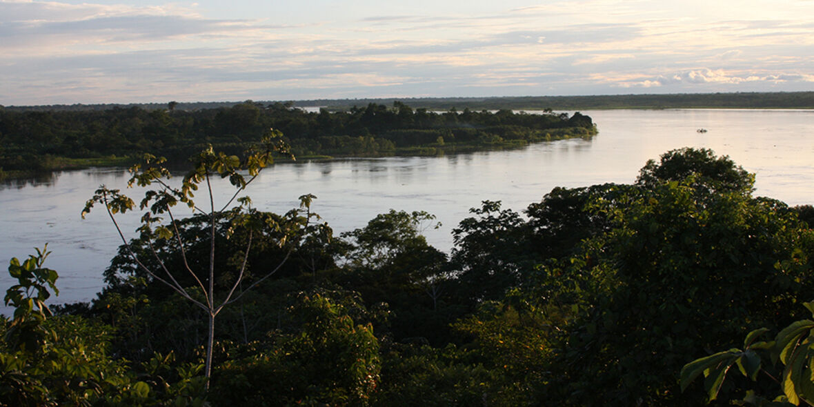 Amazonas: Wie Steuerpolitik das erfolgreichste Abholzungsschutzabkommen der Welt zerstört