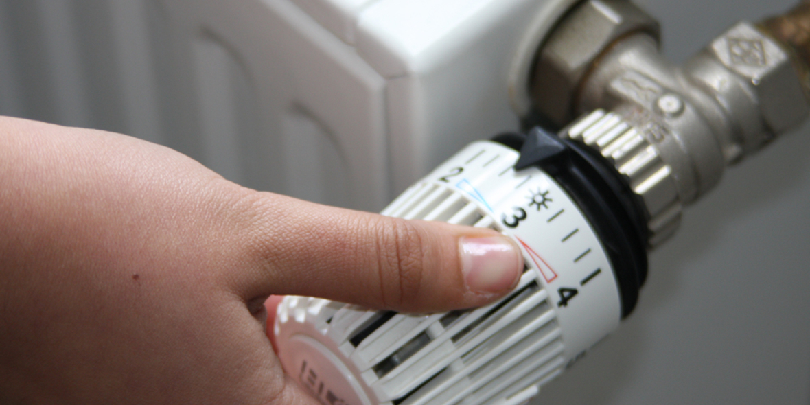 dena verleiht Best-Practice-Label an Vaillant