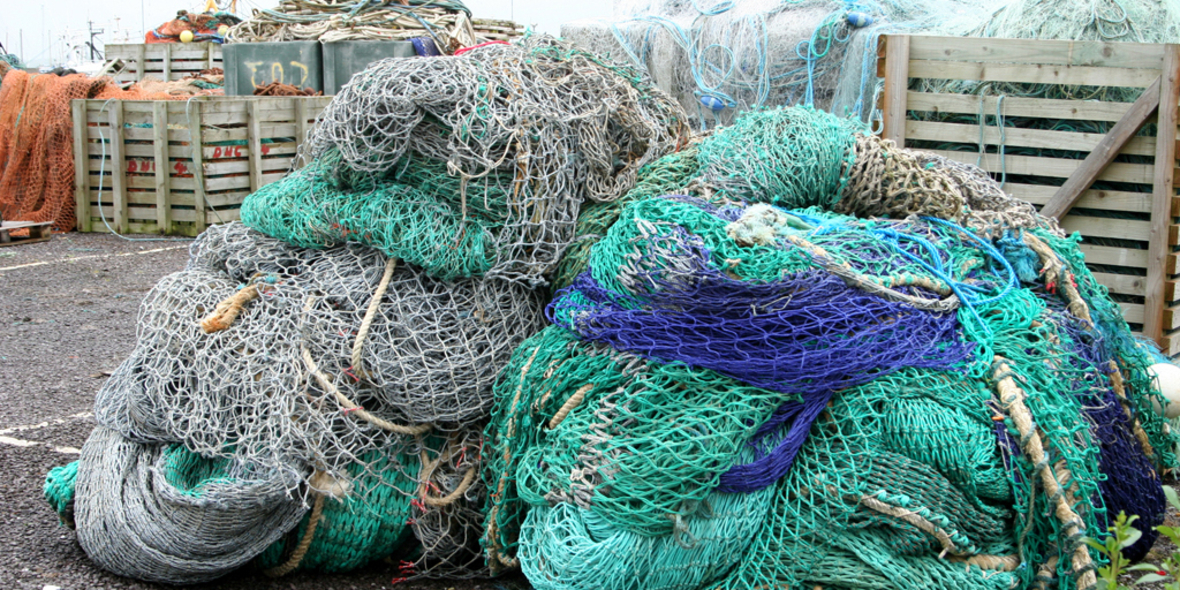 Industriefischerei bedroht Meeresschutzgebiet in der Nordsee