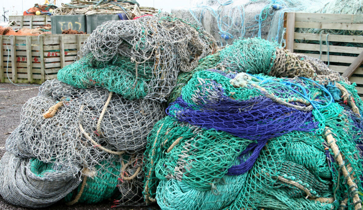 Industriefischerei bedroht Meeresschutzgebiet in der Nordsee