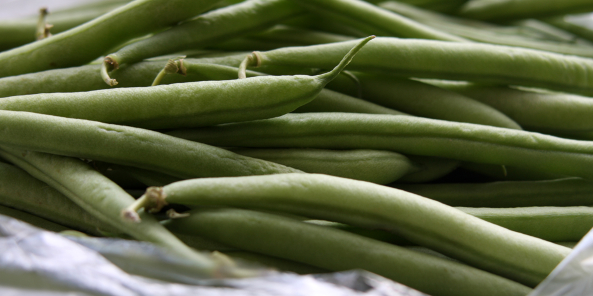 Marrokanerinnen schuften für deutsche Supermärkte