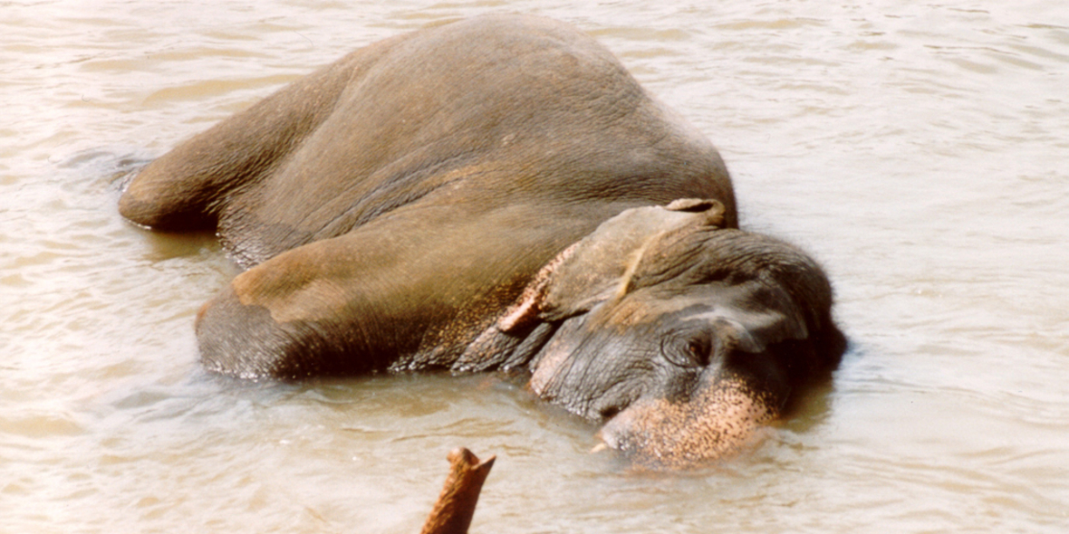Quelle des Lebens für Millionen: Wie Angolas Feuchtgebiete endlich die Anerkennung bekommen, die sie verdienen