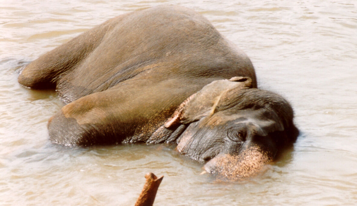 Quelle des Lebens für Millionen: Wie Angolas Feuchtgebiete endlich die Anerkennung bekommen, die sie verdienen