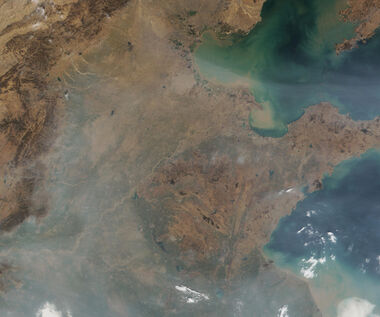 Klimawandel erfordert echte Ursachenbekämpfung 