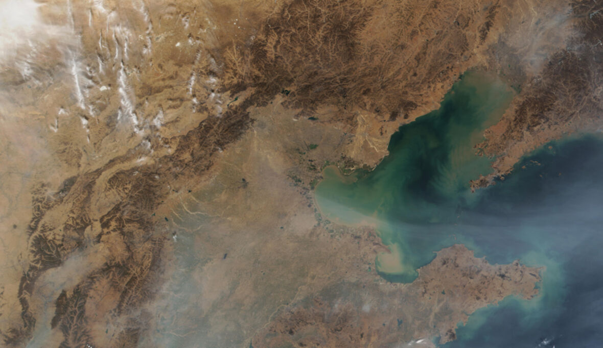 „Die Themen Klima und Nachhaltigkeit werden auch in Russland immer wichtiger“