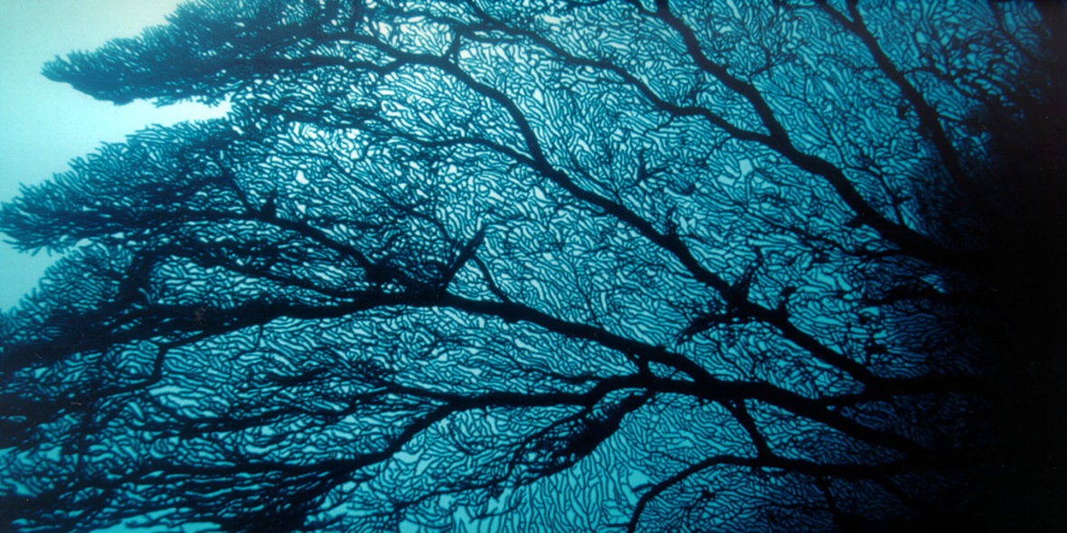 CO2: "Weltmeere sind Spiegel unserer Zivilisation"