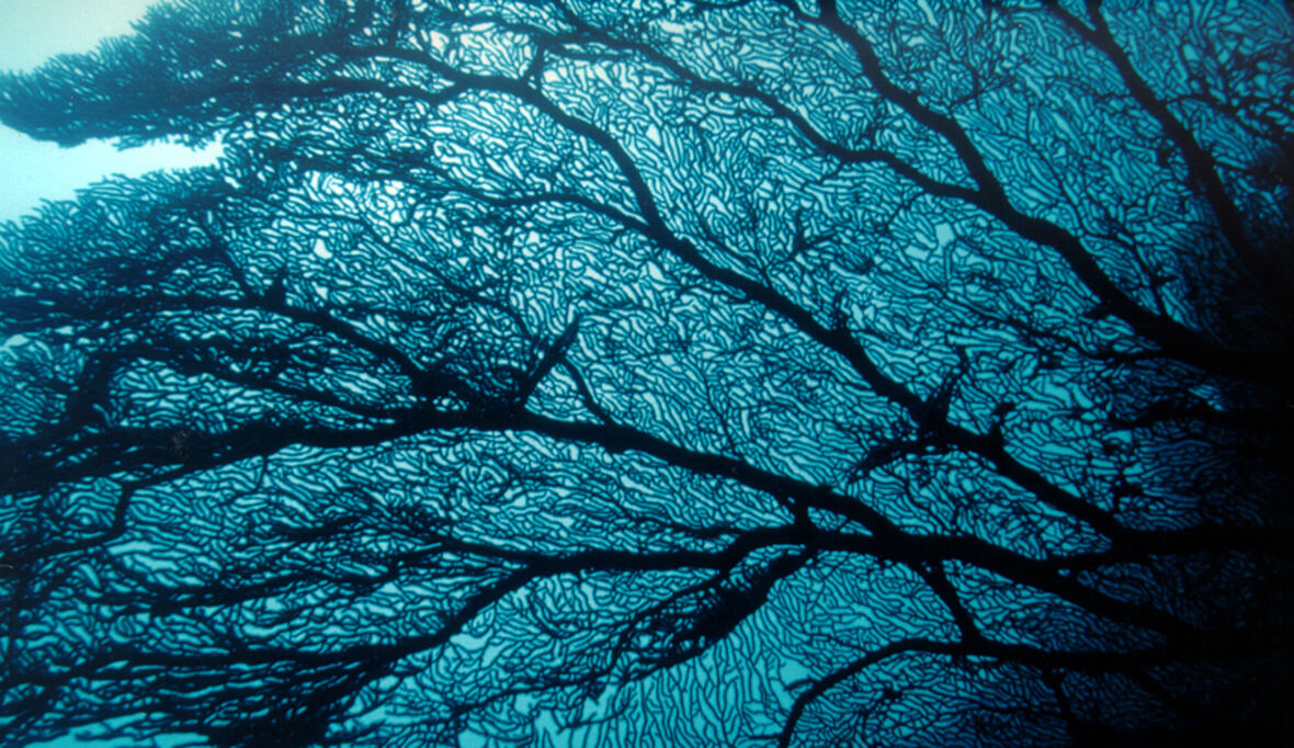 CO2: "Weltmeere sind Spiegel unserer Zivilisation"