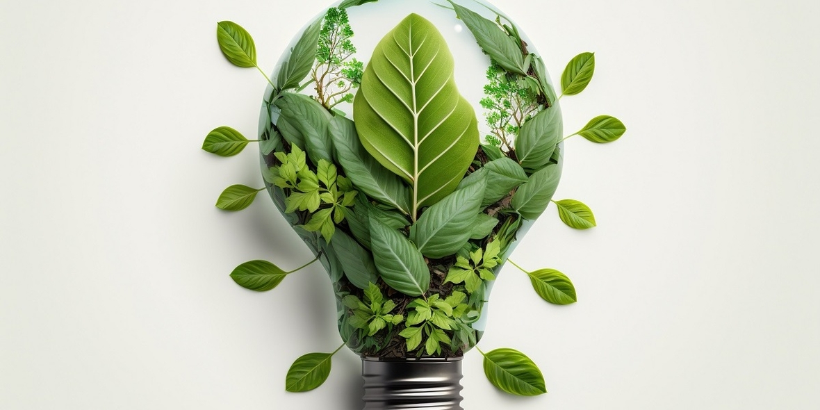 Umweltpreis der BAUM-Stiftung für Flensburger Wissenschaftlerin