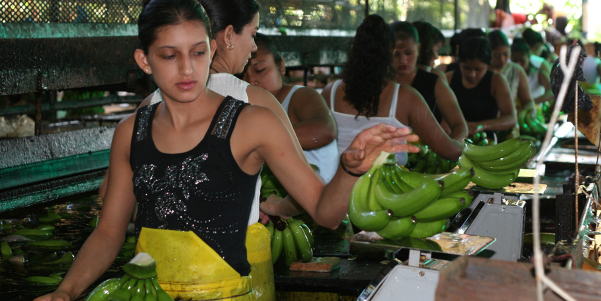 Fair Trade Produkte immer gefragter
