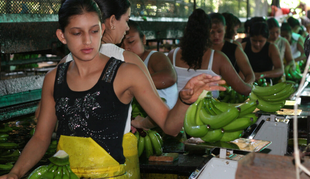 Fair Trade Produkte immer gefragter