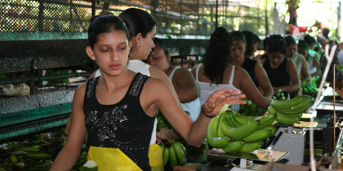 Lidl doch nicht so nachhaltig?