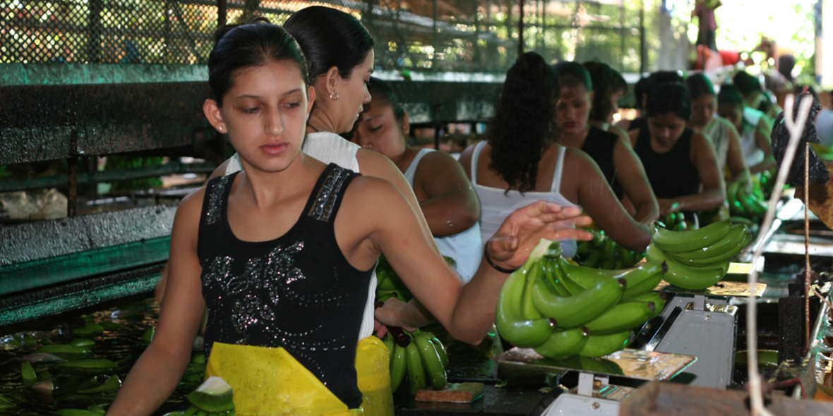 Klimawandel erreicht Supermärkte
