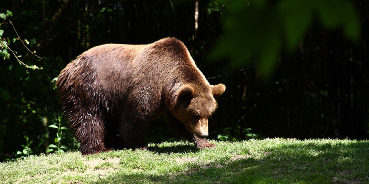 US-Park schließt wegen Selfie-Wahn 