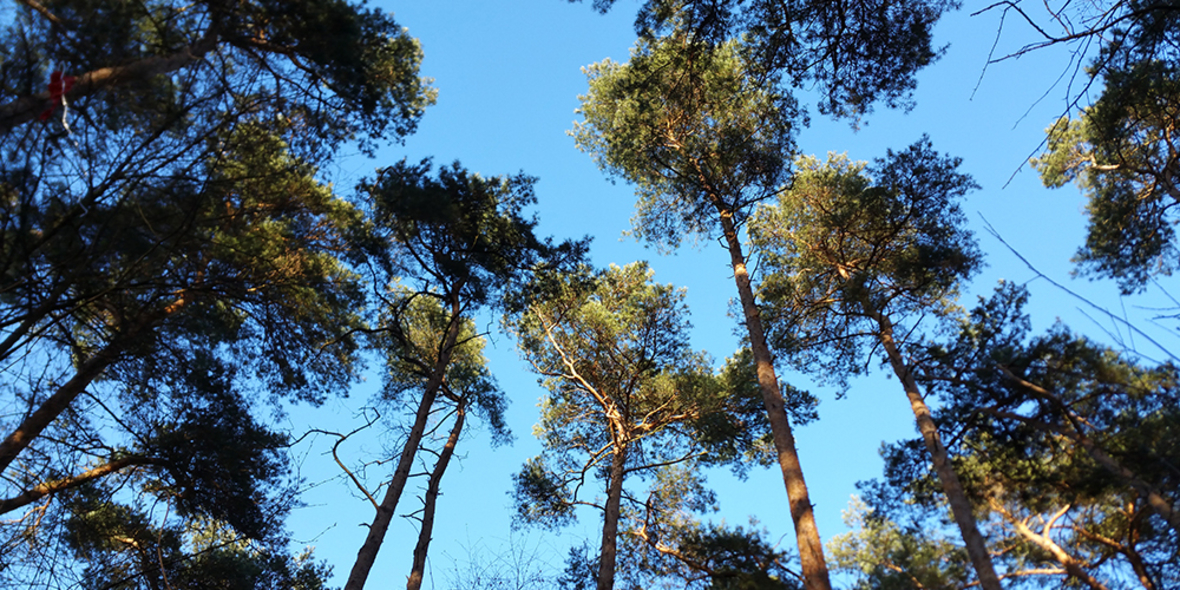 CDP 2018: Ausgezeichneter Klimaschutz