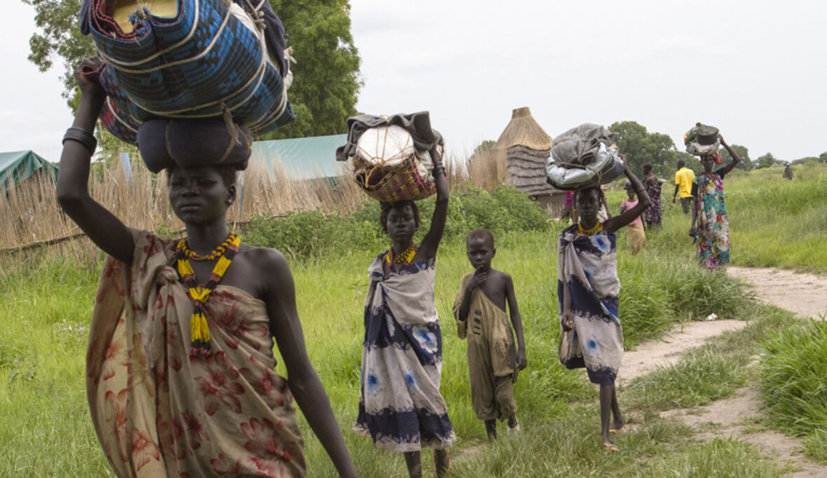 Ebola-Krise: WHO gibt Fehler zu und will Reformen