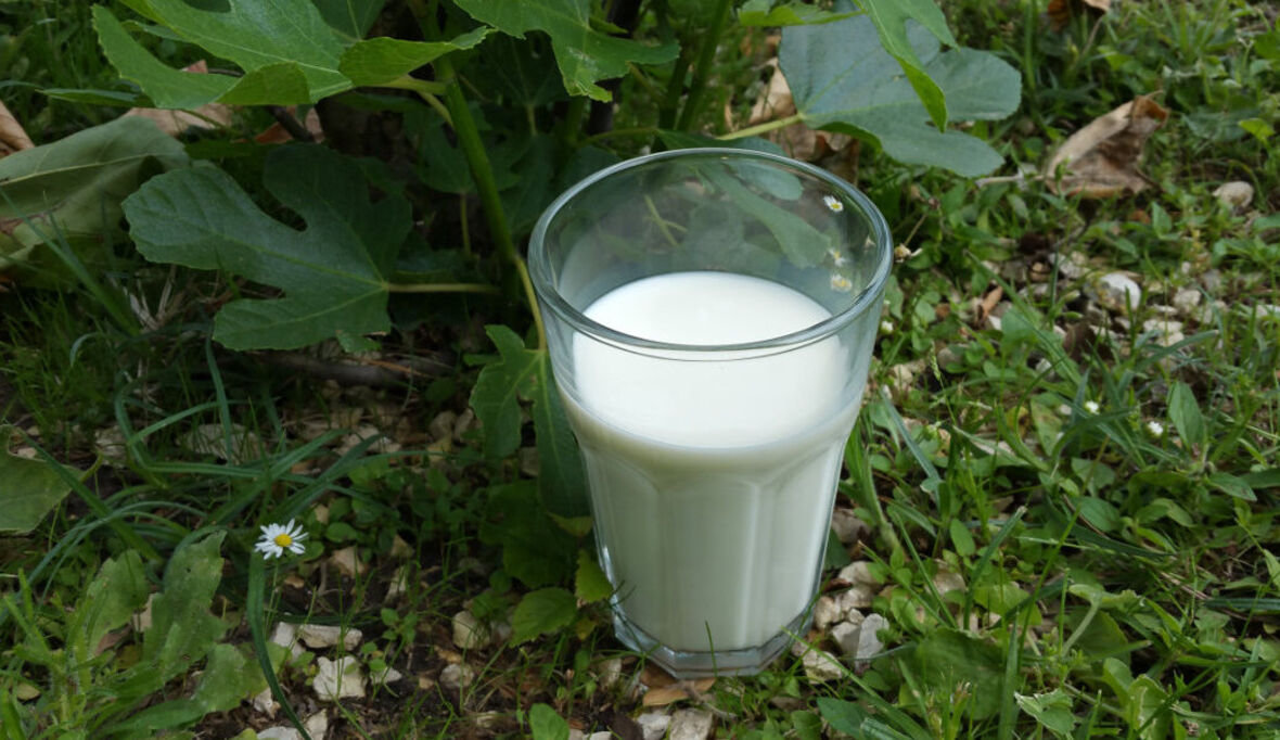 Netto Marken-Discount: Nachhaltigkeit im Milchregal