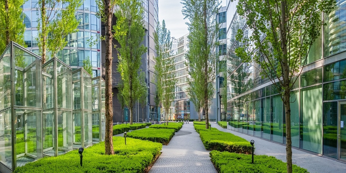 Wie sich Städte vor extremer Hitze schützen können