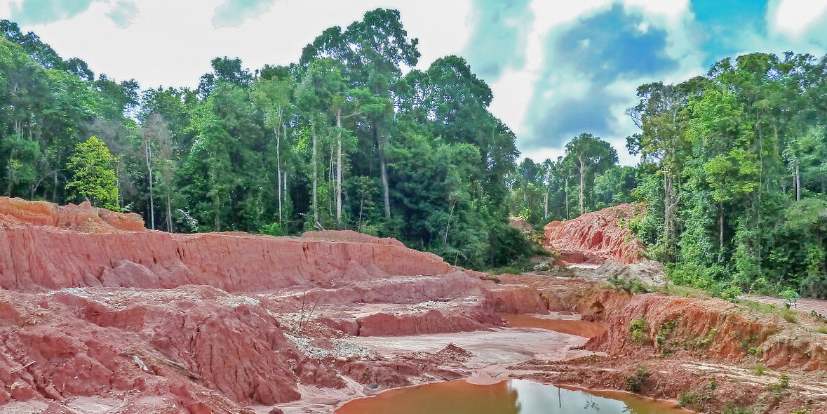  Mehr als nur CO2-Emissionen: Umweltrisiken in der Lieferkette