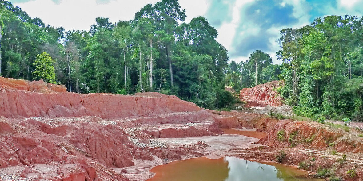 Der Nickel-Boom und seine dunkle Kehrseite: Wie der grüne Traum zu brauner Realität wird