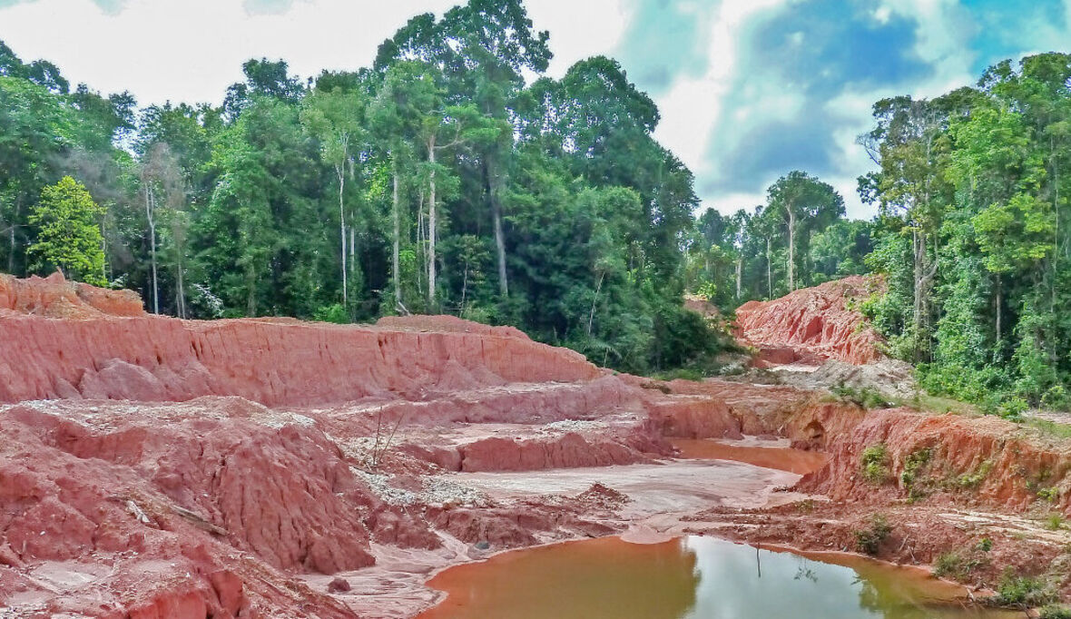 Der Nickel-Boom und seine dunkle Kehrseite: Wie der grüne Traum zu brauner Realität wird