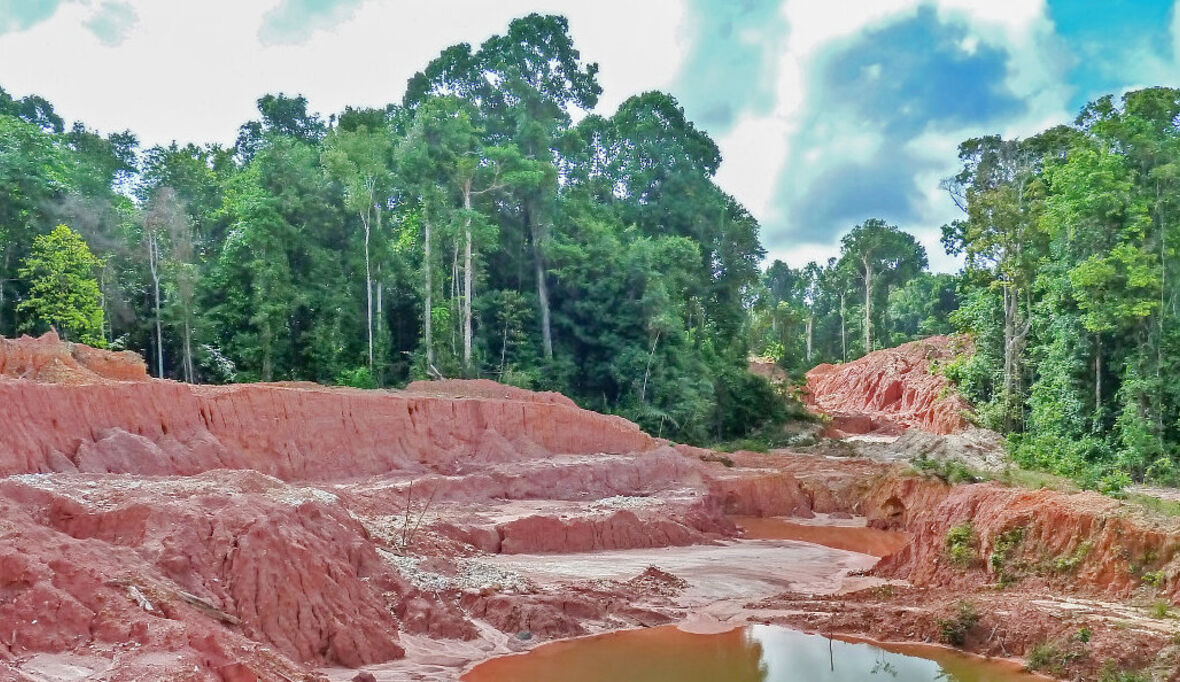  Mehr als nur CO2-Emissionen: Umweltrisiken in der Lieferkette