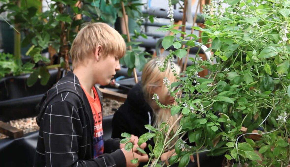 Crowdfunding-Projekt für “Urban Farming”