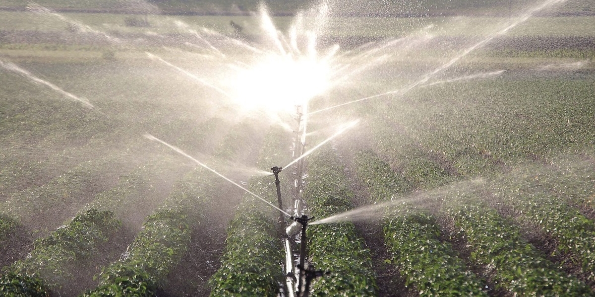 Pestizid-Giftigkeit weltweit gestiegen: UN-Ziel für 2030 in Gefahr