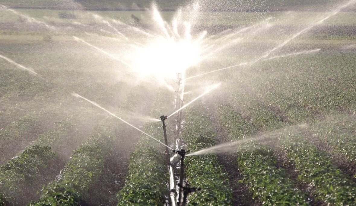 Pestizid-Giftigkeit weltweit gestiegen: UN-Ziel für 2030 in Gefahr