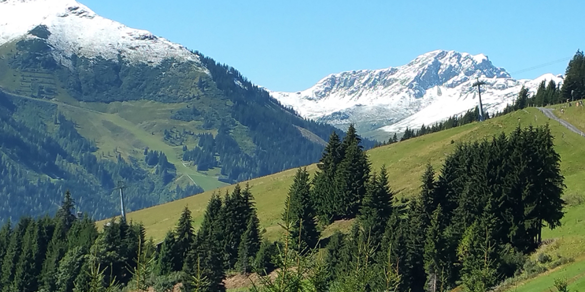 Lebensraum Alpen: ein Zentrum biologischer Vielfalt steht unter Druck