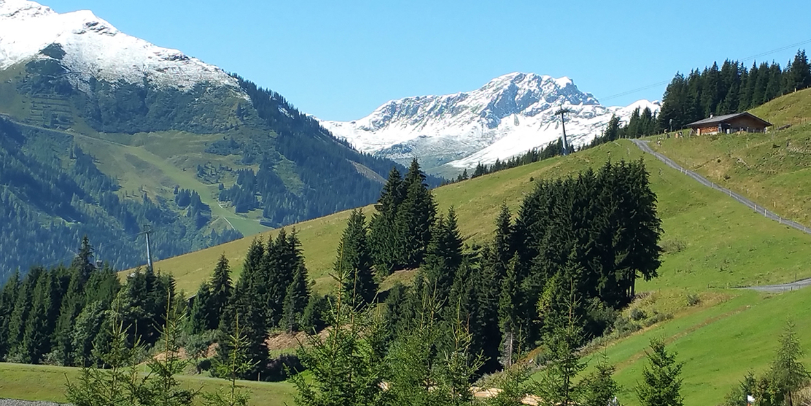 Alpen: Kooperation für Forschung und Naturschutz