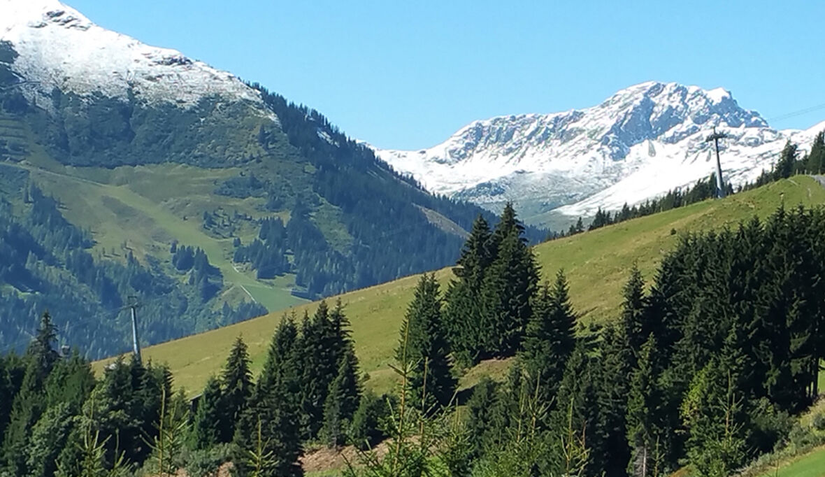 Lebensraum Alpen: ein Zentrum biologischer Vielfalt steht unter Druck