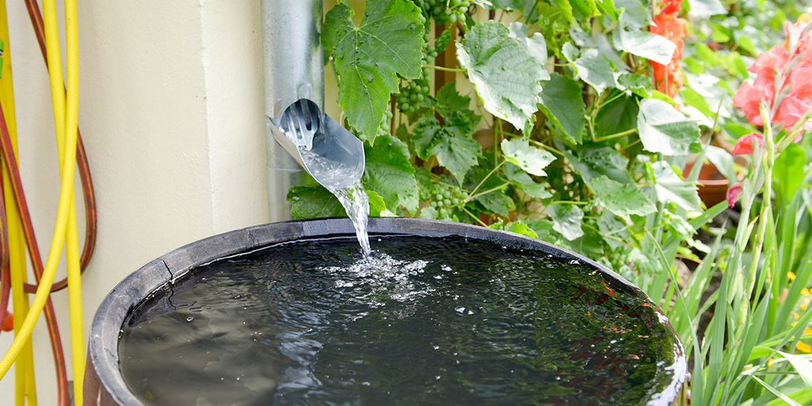 Nachhaltige Regenwassernutzung: Mittels Regentonne und Regendieb gelingt sie optimal
