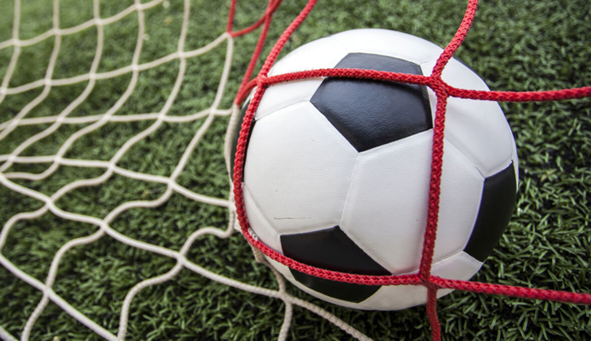 Bundesliga-Sponsoren im Öko-Check