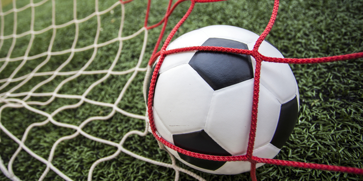 VfL Wolfsburg in der Bundesliga klar vorn ‒ in Sachen Nachhaltigkeit