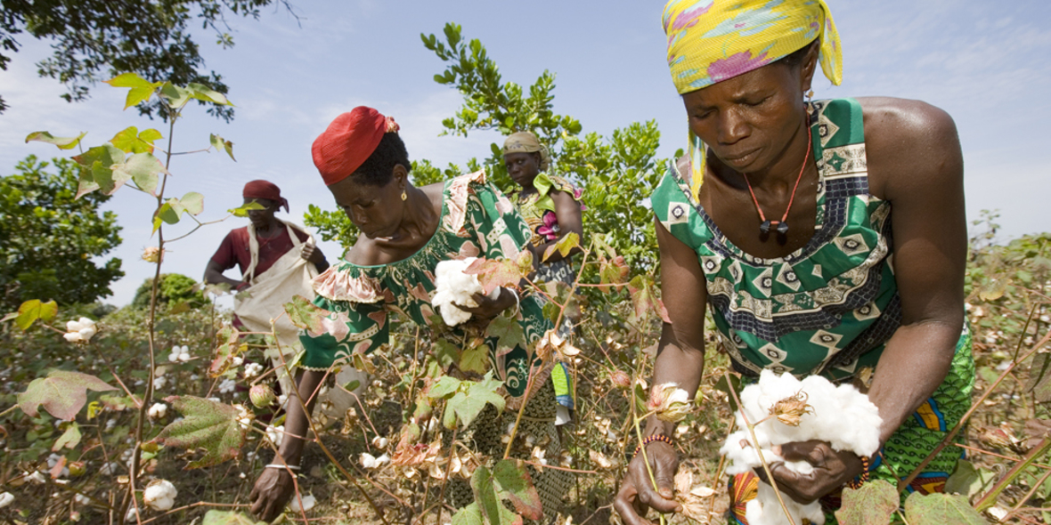 Expertentreffen zu afrikanischer Baumwolle in Köln 