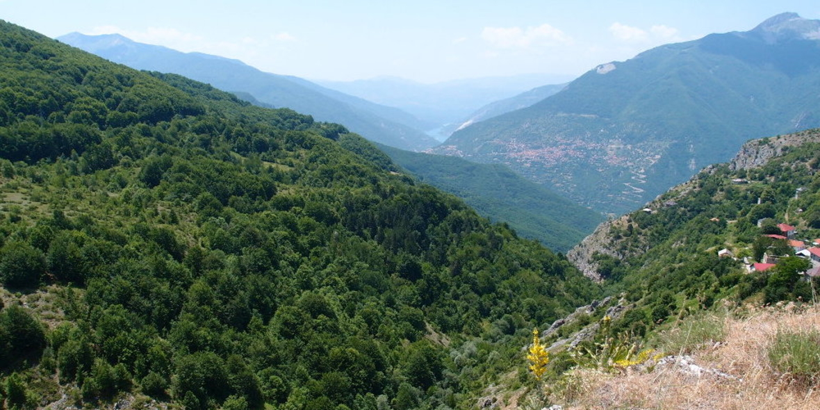 Weltbiodiversitäts-Konferenz in Pyeongchang