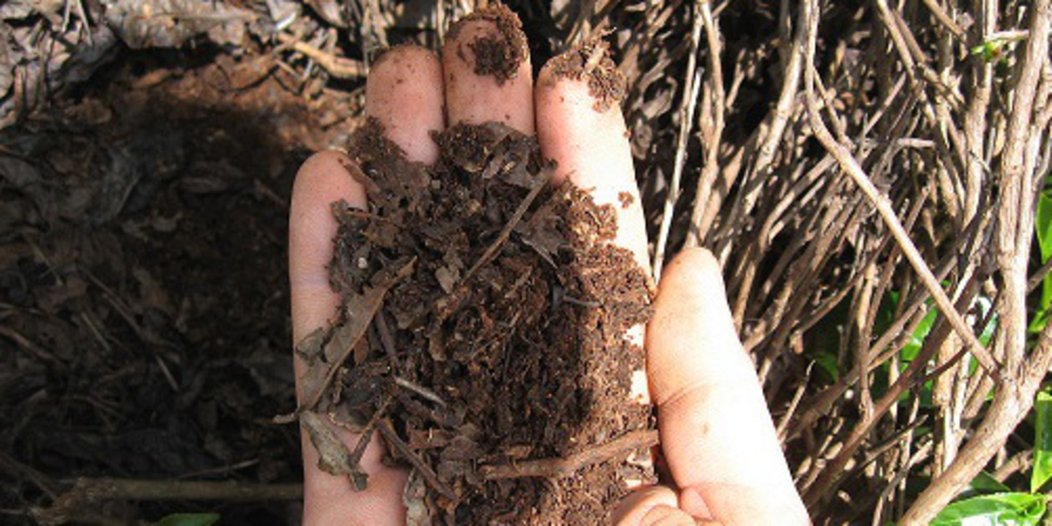 “Save our Soils” Fonds zur Rettung der Böden gegründet