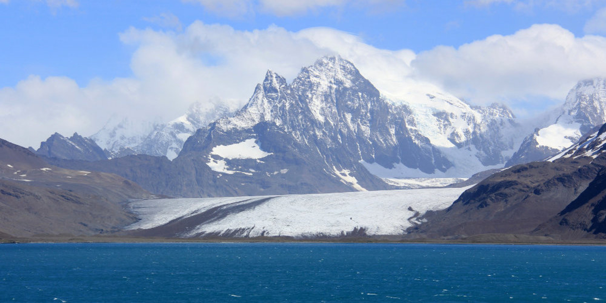 Südgeorgien: Zerstörtes Ökosystem wiederherstellen
