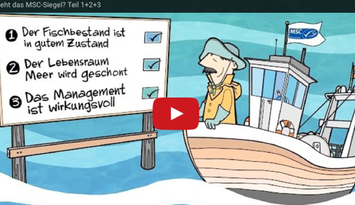 Was steckt hinter dem MSC-Siegel?